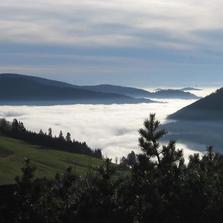 Schoene Aussicht Todtnau Eksteriør billede