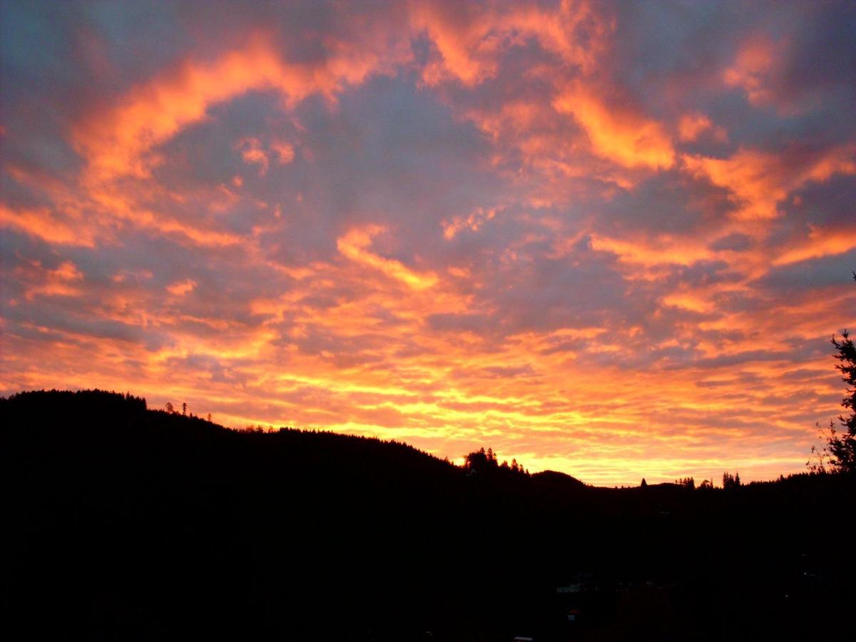 Schoene Aussicht Todtnau Eksteriør billede