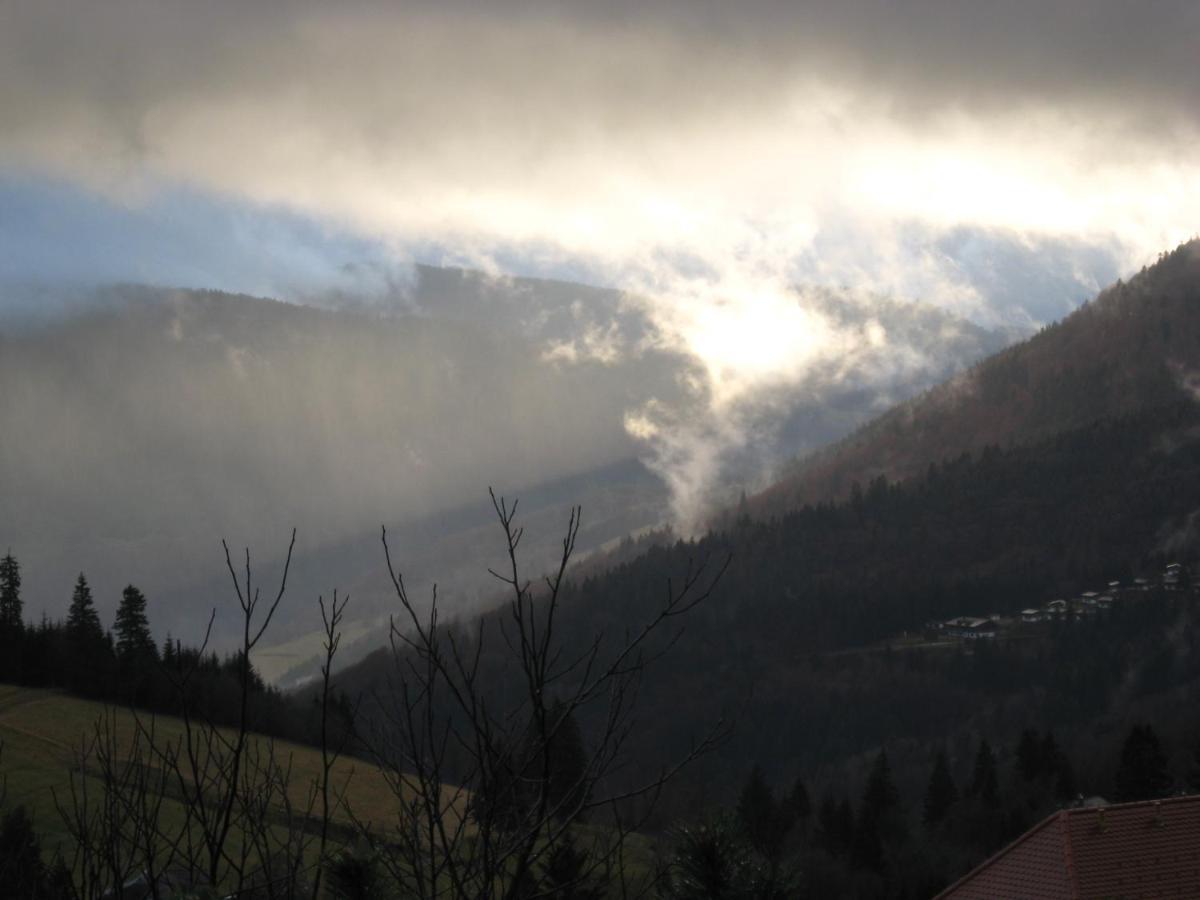 Schoene Aussicht Todtnau Eksteriør billede