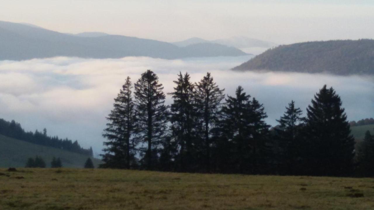 Schoene Aussicht Todtnau Eksteriør billede