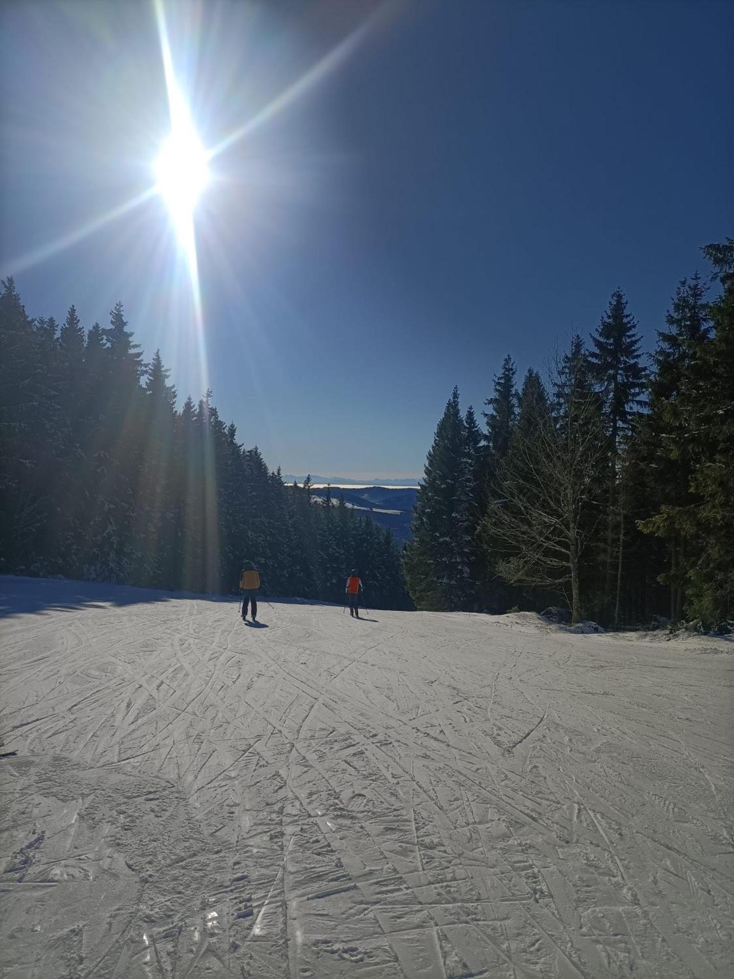 Schoene Aussicht Todtnau Eksteriør billede